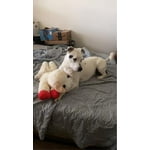 Image 3 of customer photos