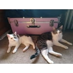 Image 2 of customer photos