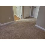 BISSELL ProHeat Pet Advanced Full-Size Carpet Cleaner ...