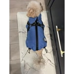 Image 2 of customer photos