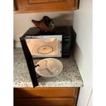 Image 6 of customer photos