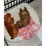 Image 7 of customer photos