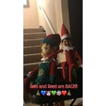 Image 1 of customer photos