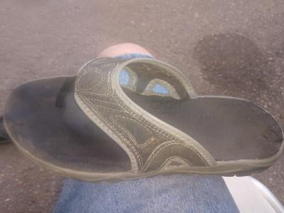 walmart 99 cent flip flops