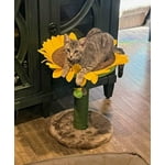 Image 7 of customer photos