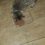 Image 6 of customer photos