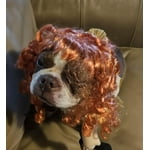 Image 3 of customer photos