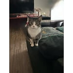 Image 4 of customer photos