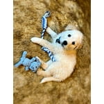 Image 4 of customer photos