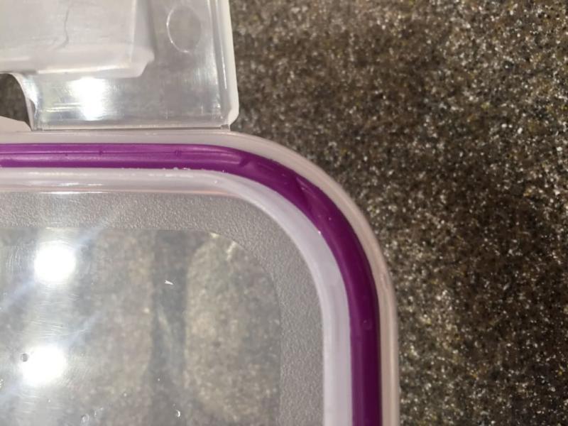 Snapware Rectangle Food Storage Container - Clear/Purple, 23 c - Ralphs