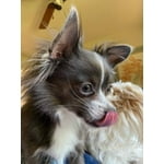 Image 2 of customer photos