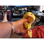 Image 1 of customer photos