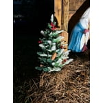 Image 4 of customer photos