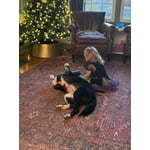 Image 3 of customer photos