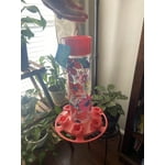 Image 7 of customer photos