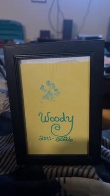 ubuy Georgia
