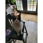 Image 6 of customer photos