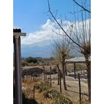 Imagen 5 de las fotos del cliente