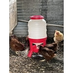 Image 2 of customer photos