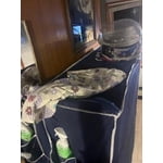 Image 4 of customer photos