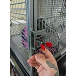 Image 4 of customer photos