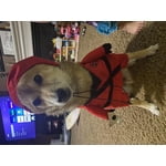 Image 3 of customer photos