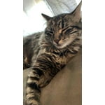 Image 7 of customer photos