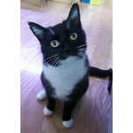 Image 6 of customer photos