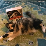 Image 4 of customer photos