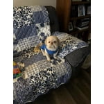 Image 1 of customer photos