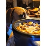 Image 5 of customer photos