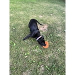 Image 5 of customer photos