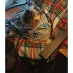 Image 4 of customer photos