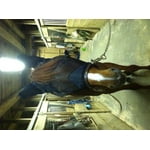 Image 4 of customer photos