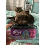 Image 5 of customer photos