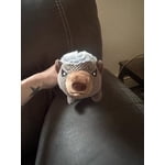 Image 1 of customer photos