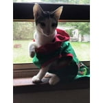 Image 2 of customer photos