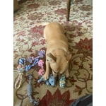 Image 2 of customer photos