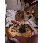 Image 3 of customer photos