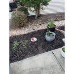 Image 7 of customer photos