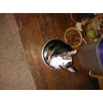 Image 3 of customer photos