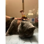 Image 7 of customer photos