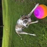 Image 3 of customer photos