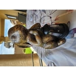 Image 4 of customer photos