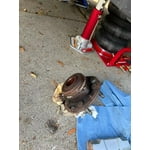 Image 2 of customer photos