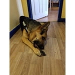 Image 4 of customer photos