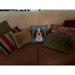 Image 1 of customer photos