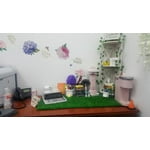 Image 1 of customer photos