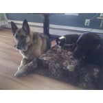 Image 1 des photos des clients