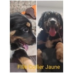 Image 3 des photos des clients